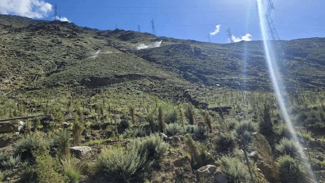 ������ʱ�������ǲ���(�й���)�ٷ���վ