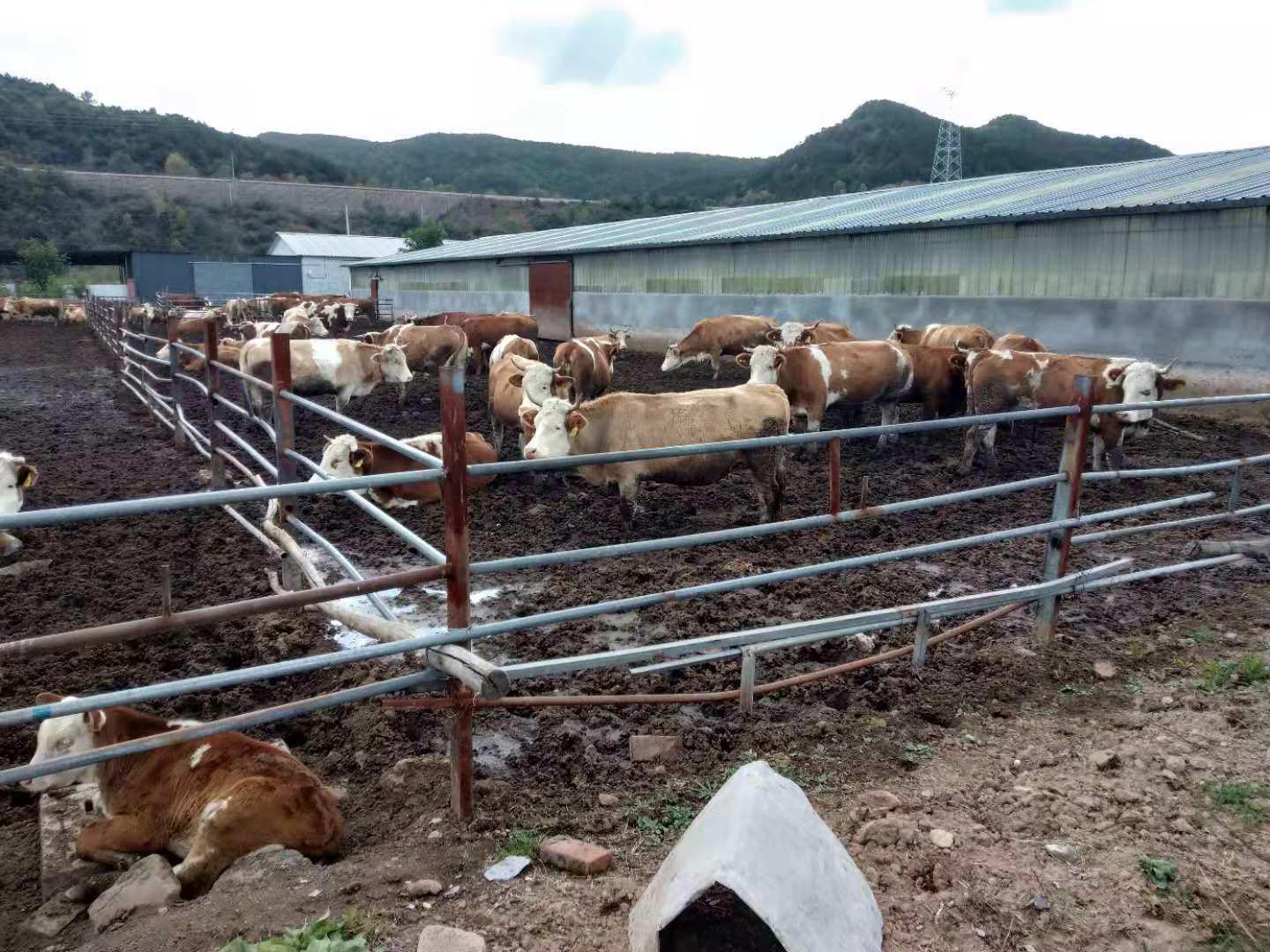 ������ʱ�������ǲ���(�й���)�ٷ���վ