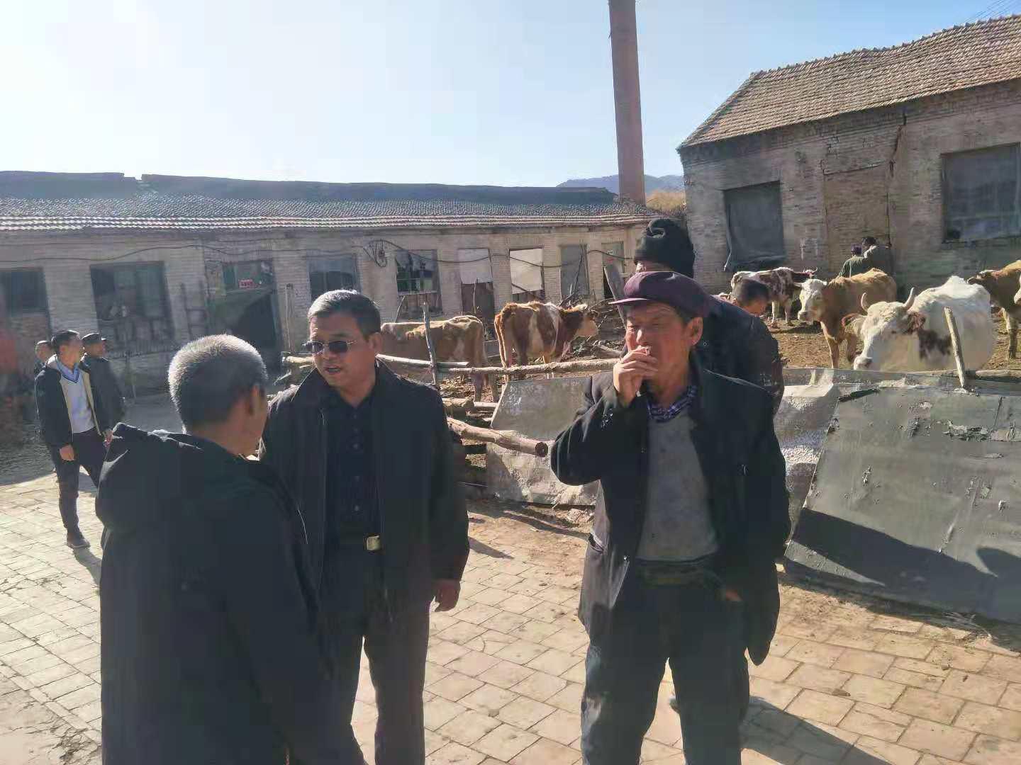 ������ʱ�������ǲ���(�й���)�ٷ���վ