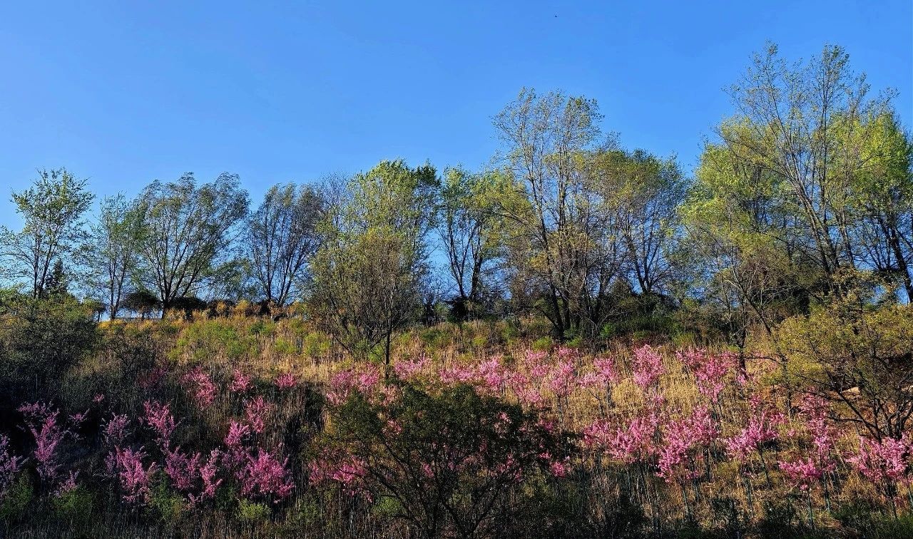 ������ʱ�������ǲ���(�й���)�ٷ���վ