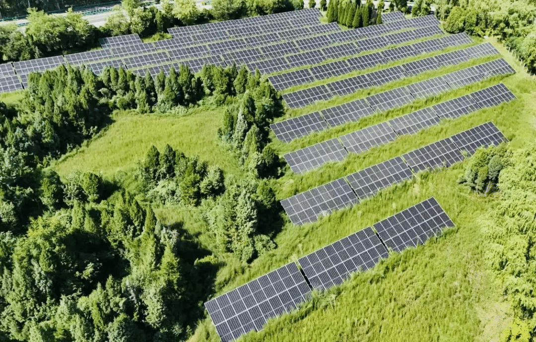 ɽ����Ͷ��������ɽ��ʡ���ٹ�·200MW����ʽ�����Ŀ�����조�⡱�������ġ���ɫ�������ȡ�