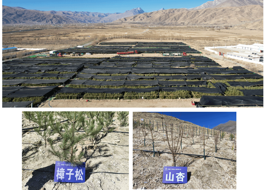 ������ʱ�������ǲ���(�й���)�ٷ���վ