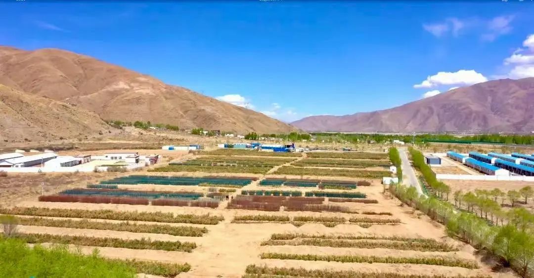 ɽ����Ͷ�������������ϱ�ɽ��ˮ��Ӫ��������󲹹��̣��Ƽ����������� ��׼��������Ч